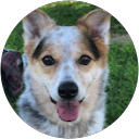 Kevin Agorrilla profile picture