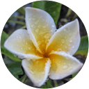 VIVIAN ABATAY profile picture